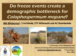 Do freeze events create a demographic bottleneck for