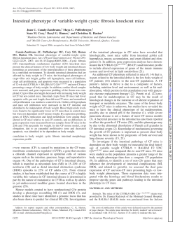 Intestinal phenotype of variable-weight cystic fibrosis knockout mice