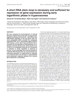 A short RNA stem&ndash;loop is necessary and sufficient for repression of