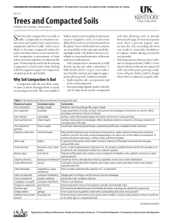 HO-93: Trees and Compacted Soils