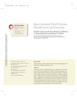 Insect Seminal Fluid Proteins: Identification and Function