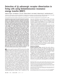 Detection of &szlig;2-adrenergic receptor dimerization in living cells using
