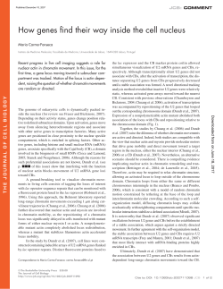 How genes find their way inside the cell nucleus