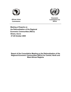 Meeting of Experts on the Rationalization of the Regional Economic