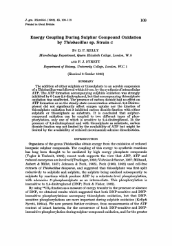 Energy Coupling During Sulphur Compound