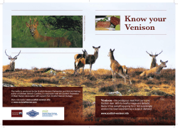 Know your Venison