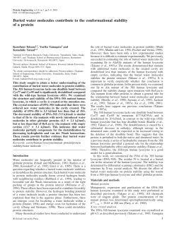 Buried water molecules contribute to the conformational stability of a