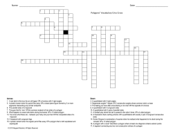 Polygons` Vocabulary Criss Cross