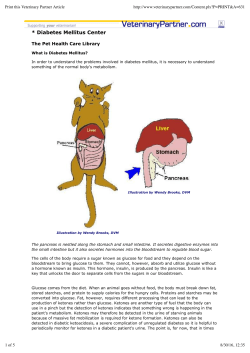 Diabetes Mellitus in Cats