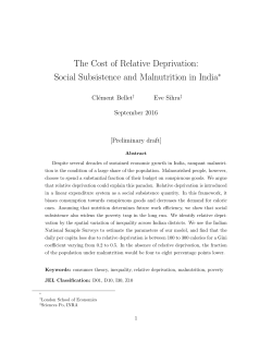 The Cost of Relative Deprivation: Social Subsistence and