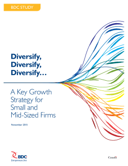 Diversification: A Key Growth Strategy for SMEs &ndash; BDC Study