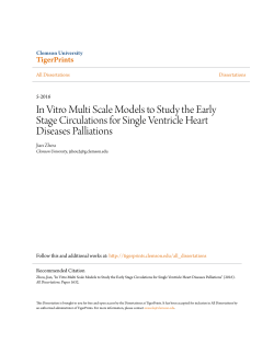 In Vitro Multi Scale Models to Study the Early Stage Circulations for