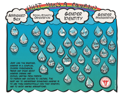 Gender Identity - North Carolina Harm Reduction Coalition