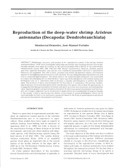 Article - Inter Research