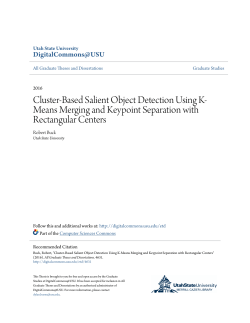 Cluster-Based Salient Object Detection Using K