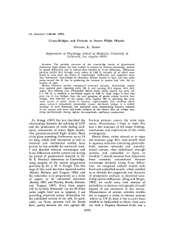 Gross-Bridges and Periods in Insect Flight