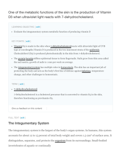 One of the metabolic functions of the skin is the