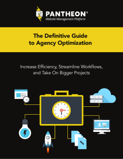 The Definitive Guide to Agency Optimization
