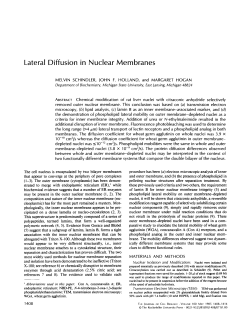 Lateral Diffusion in Nuclear Membranes