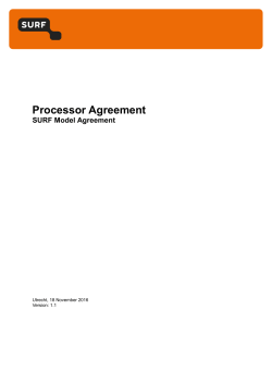 Processor Agreement