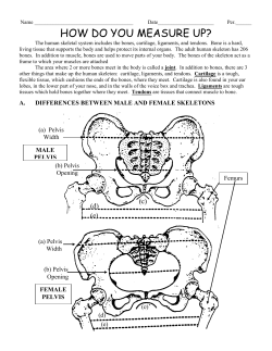 how do you measure up?