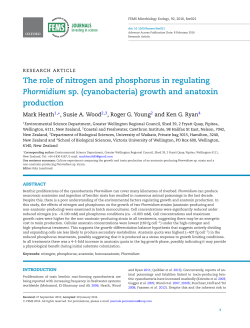 The role of nitrogen and phosphorus in regulating Phormidium sp
