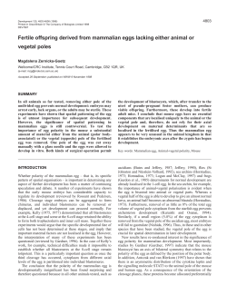 Fertile offspring derived from mammalian eggs lacking either animal