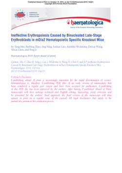 Ineffective Erythropoiesis Caused by Binucleated