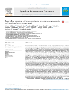 Reconciling opposing soil processes in row