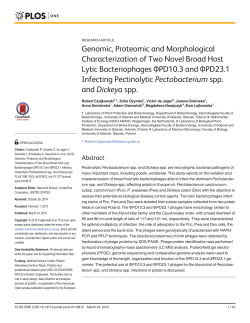 Genomic, Proteomic and Morphological Characterization of Two