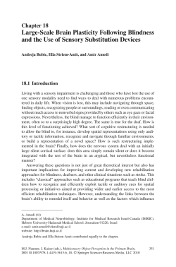 Large-Scale Brain Plasticity Following Blindness