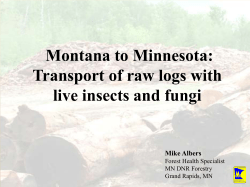 Montana to Minnesota: Transport of raw logs with live insects and fungi