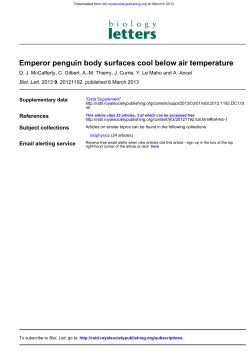 Emperor penguin body surfaces cool below air temperature