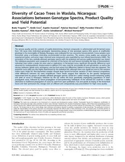 Diversity of Cacao Trees in Waslala, Nicaragua