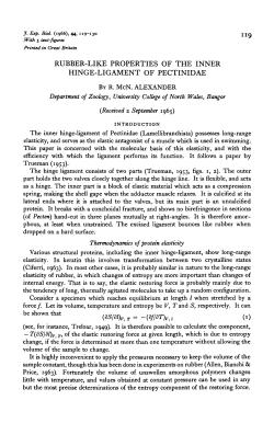 rubber-like properties of the inner hinge