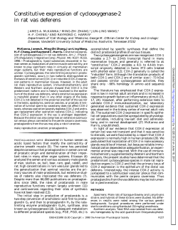 Constitutive expression of cyclooxygenase