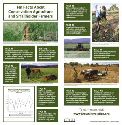 Ten Facts About Conservation Agriculture and Smallholder Farmers