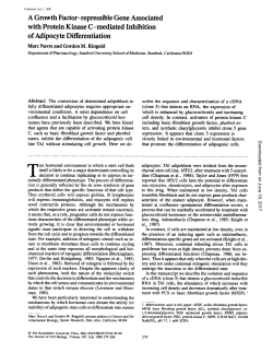 A Growth Factor-repressible Gene Associated with Protein Kinase C