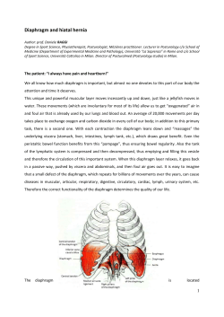 Diaphragm and hiatal hernia