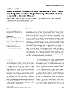 Mixed evidence for reduced local adaptation in wild salmon