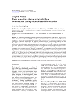 Dspp mutations disrupt mineralization homeostasis during