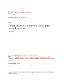 Simulation of water transport in the soil-plant