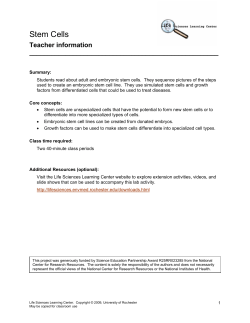Stem Cells