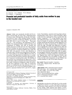 Prenatal and postnatal transfer of fatty acids from mother to pup in