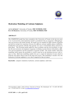 Hydration Modeling of Calcium Sulphates