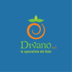 company brochure in pdf