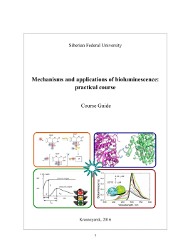 Mechanisms and applications of bioluminescence: practical course
