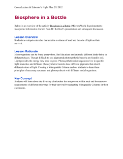 Biosphere in a Bottle