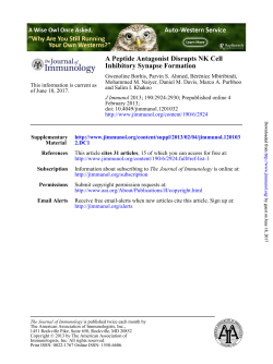 Inhibitory Synapse Formation A Peptide Antagonist Disrupts NK Cell