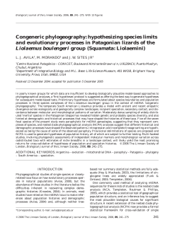 Congeneric phylogeography: hypothesizing species limits and